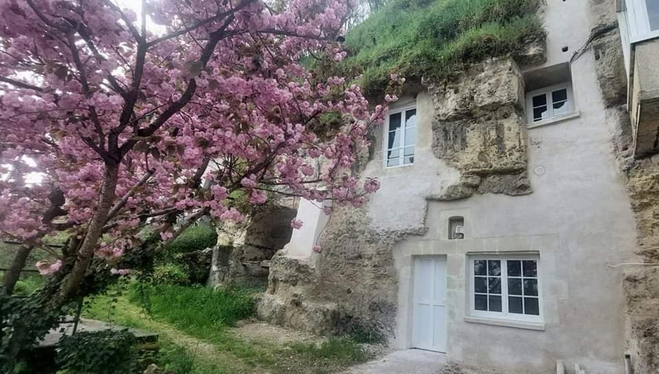 Troglo Entre Caves Et Chateaux Монлуи-сюр-Луар Экстерьер фото